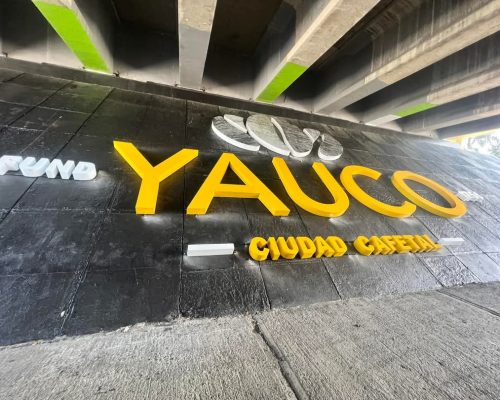 FB_IMG_1737567980087